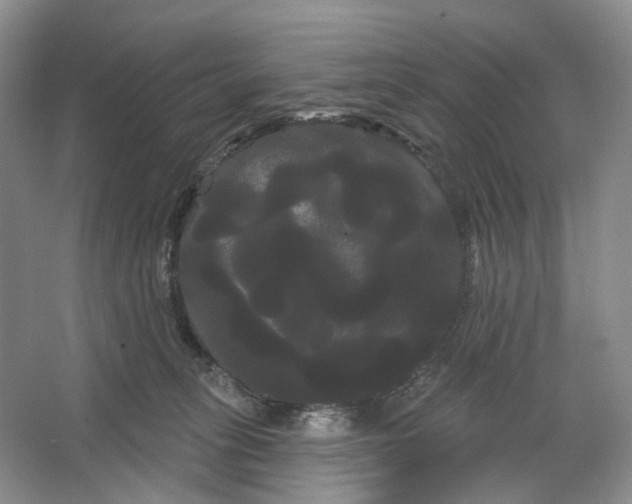 X0000066120275200603311543