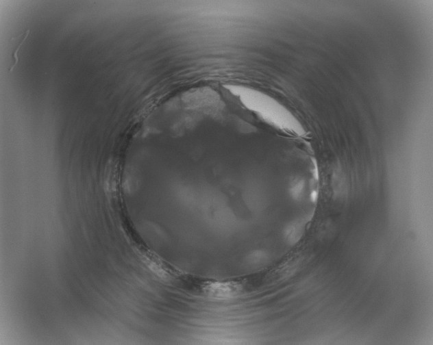 X0000066120277200603311543