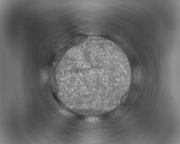 X0000066120278200603311543