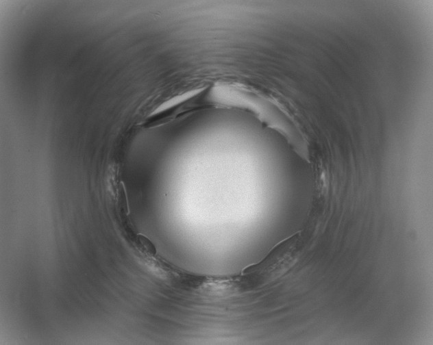 X0000066120280200603311543