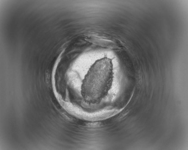 X0000066120281200603311543