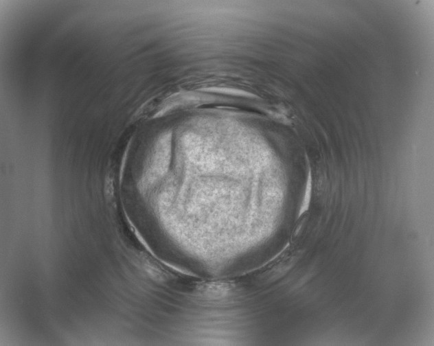 X0000066120282200603311543