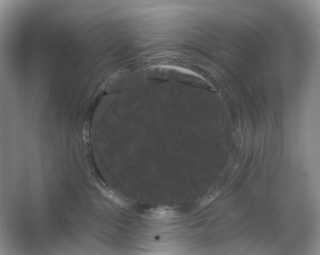 X0000066120284200603311544