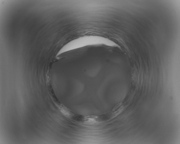 X0000066120285200603311544