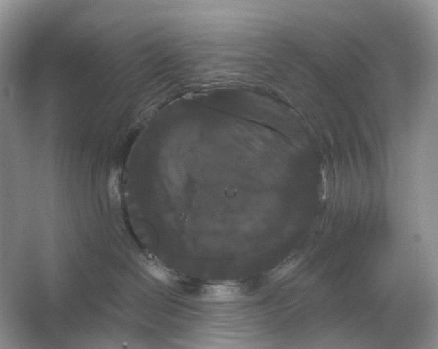 X0000066120286200603311544