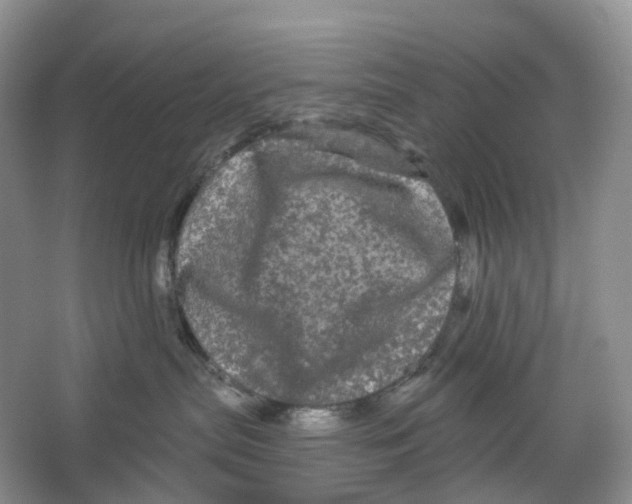 X0000066120287200603311544