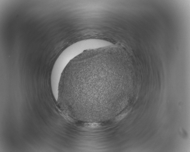 X0000066120288200603311544