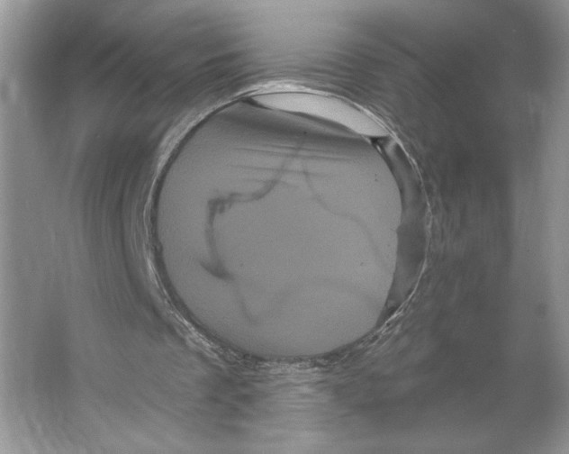 X0000066120289200603311543