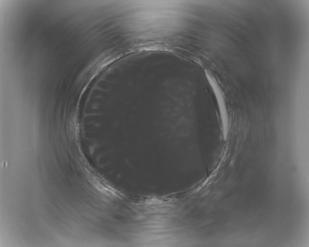 X0000066120290200603311543