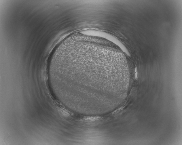 X0000066120291200603311543