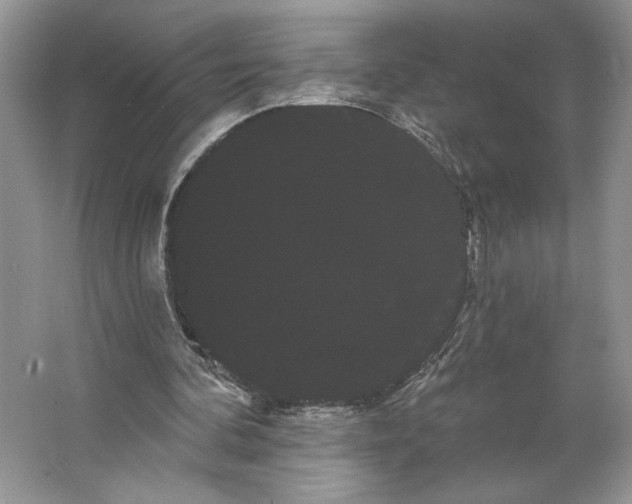 X0000066120292200603311543