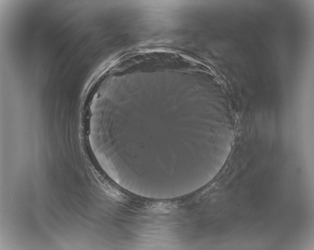 X0000066120293200603311543