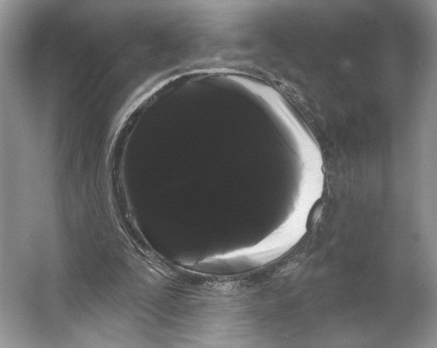 X0000066120295200603311543