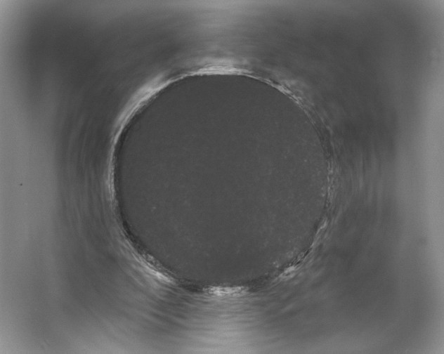 X0000066120296200603311543