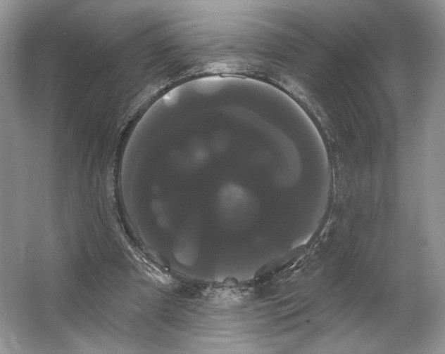 X0000066120297200603311543