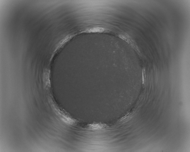 X0000066120300200603311543