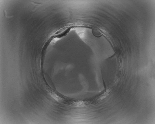 X0000066120301200603311543