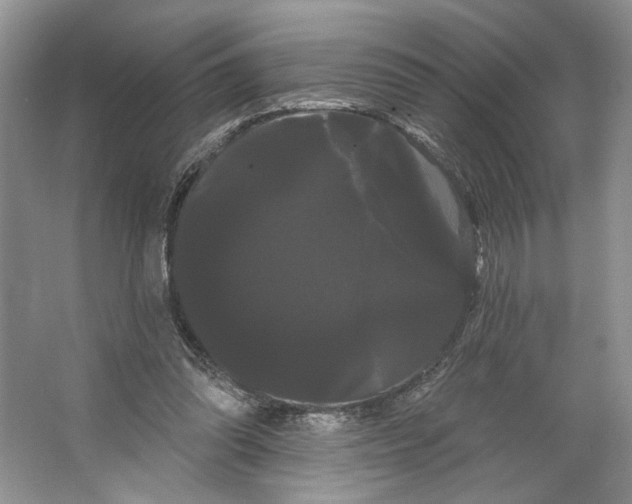 X0000066120302200603311543