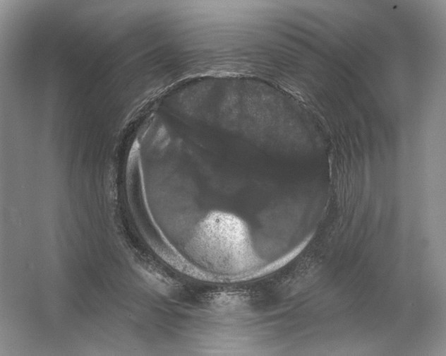 X0000066120303200603311543