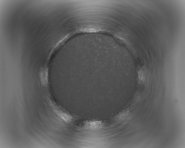 X0000066120304200603311543