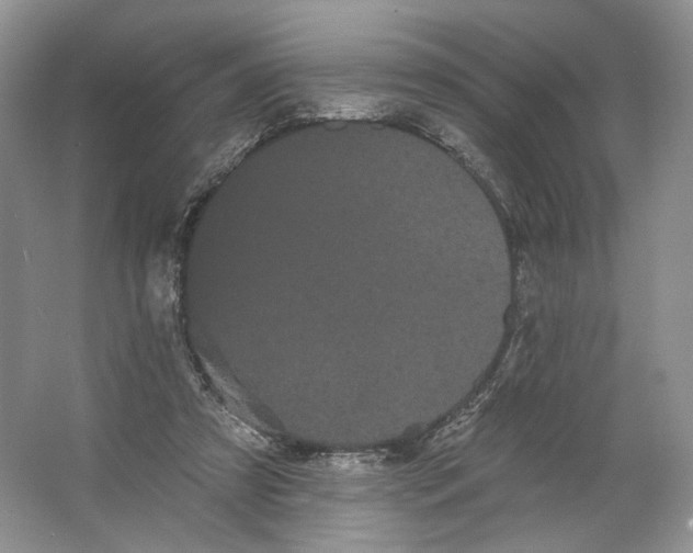 X0000066120305200603311542