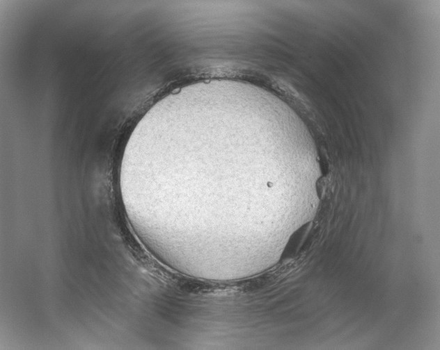 X0000066120306200603311542