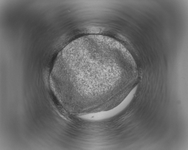 X0000066120307200603311542