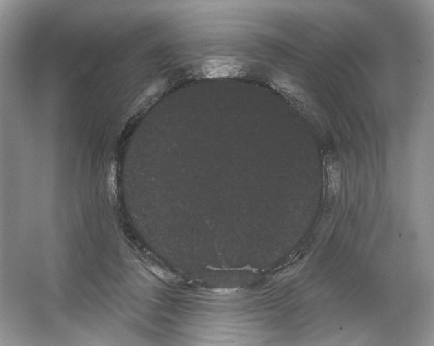 X0000066120308200603311542