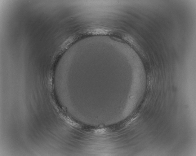 X0000066120309200603311542