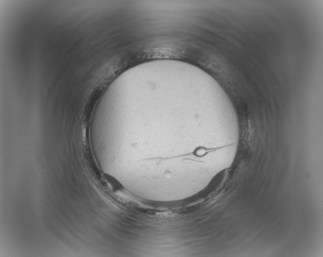 X0000066120310200603311542