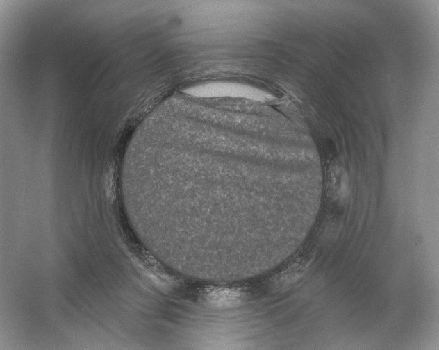 X0000066120311200603311542