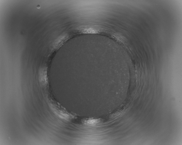 X0000066120312200603311542