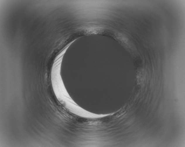 X0000066120314200603311542