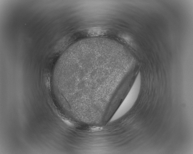 X0000066120315200603311542