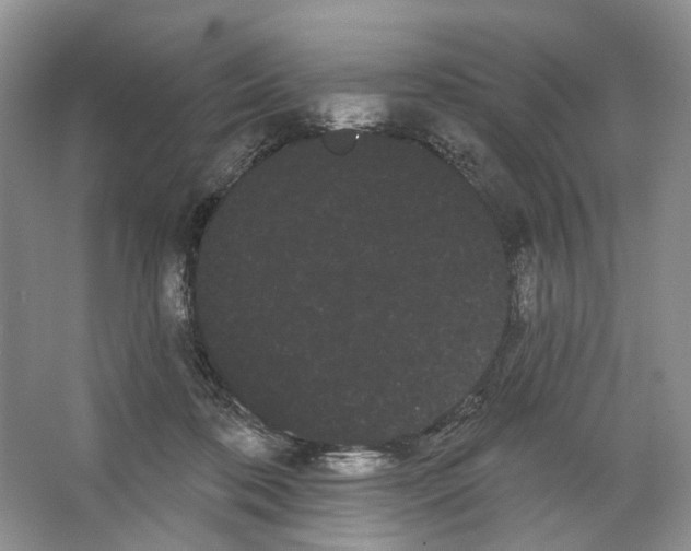 X0000066120316200603311542