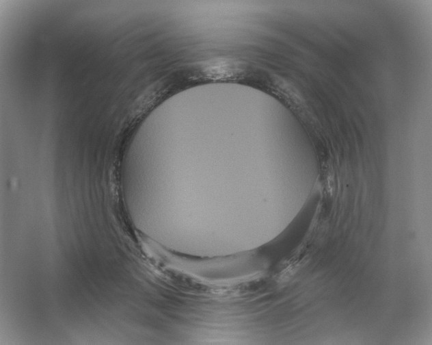 X0000066120317200603311542