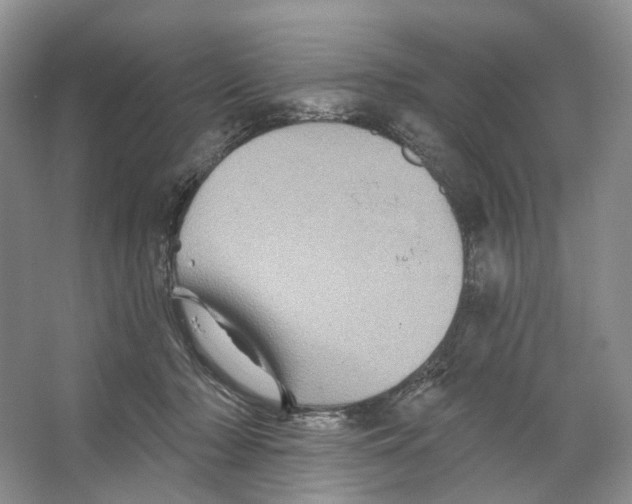 X0000066120318200603311542