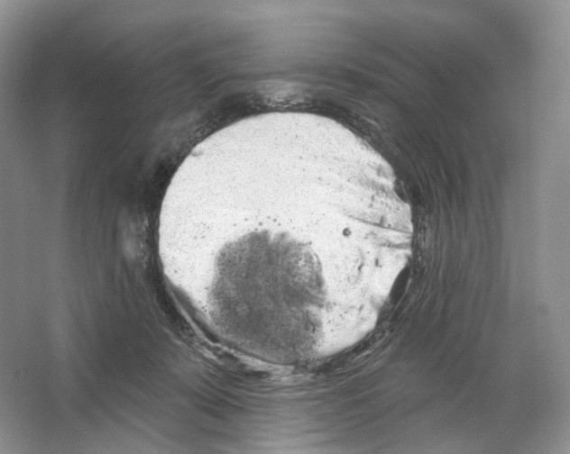 X0000066120319200603311542