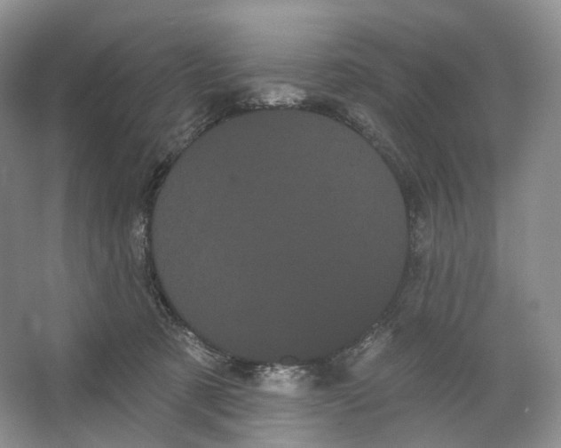 X0000066120321200603311542