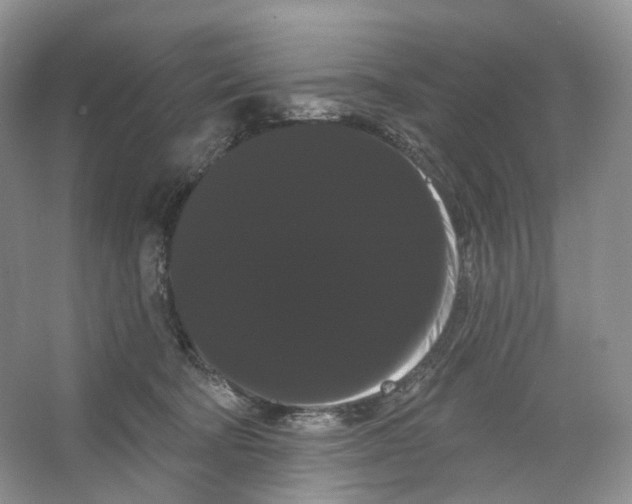 X0000066120322200603311542