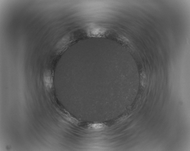 X0000066120324200603311542