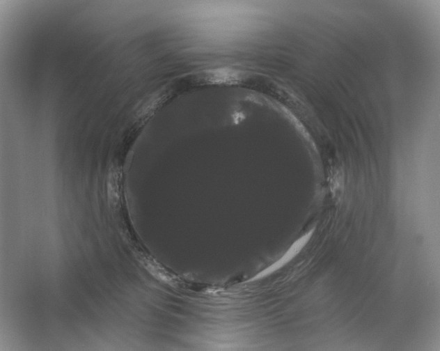 X0000066120325200603311542