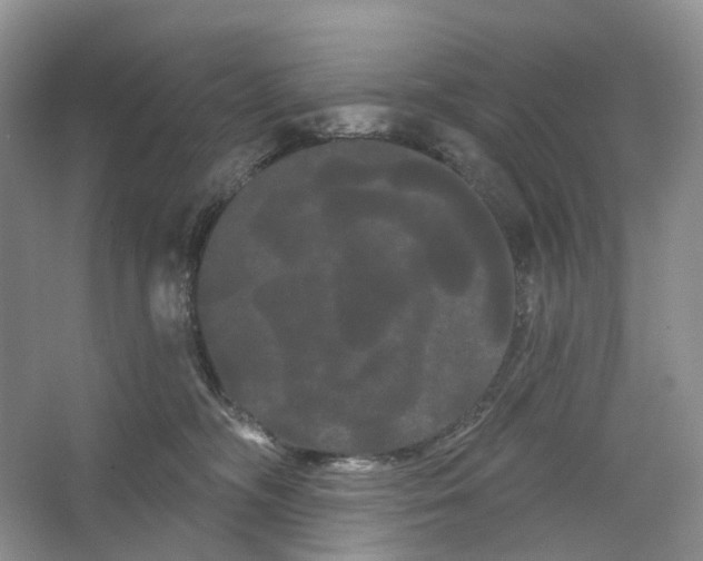 X0000066120326200603311542