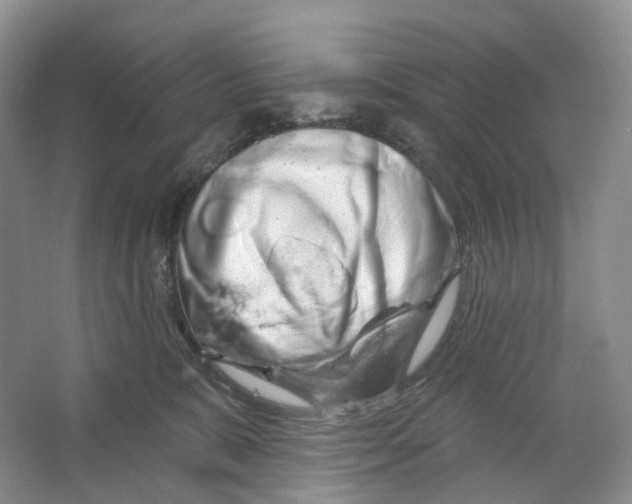 X0000066120327200603311542