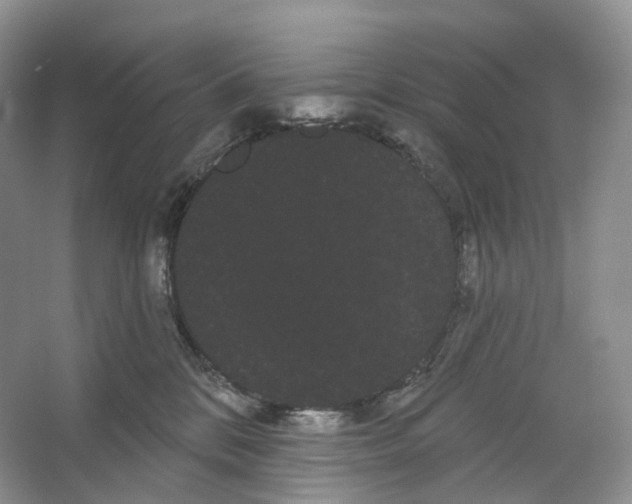 X0000066120328200603311542