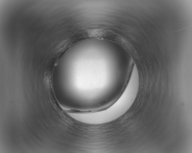 X0000066120329200603311542