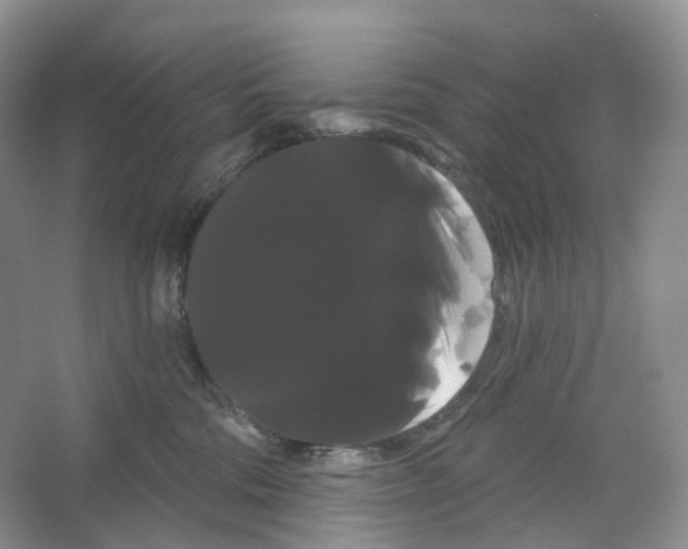 X0000066120330200603311542