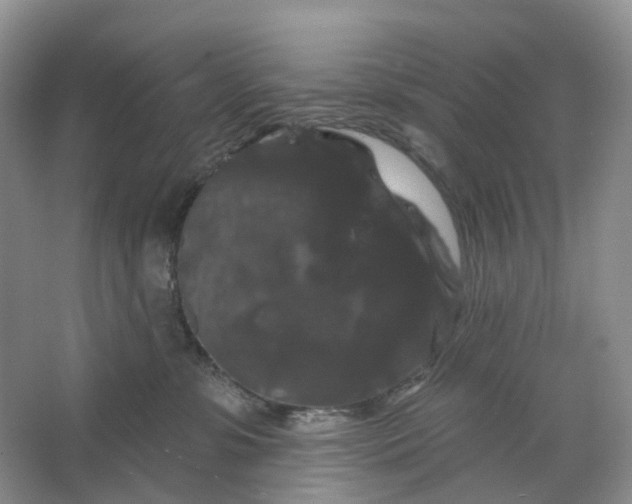 X0000066120331200603311542