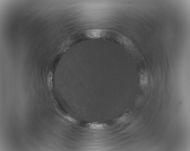 X0000066120332200603311542