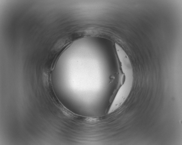 X0000066120333200603311542